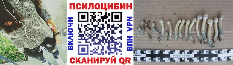Псилоцибиновые грибы мицелий  Салехард 