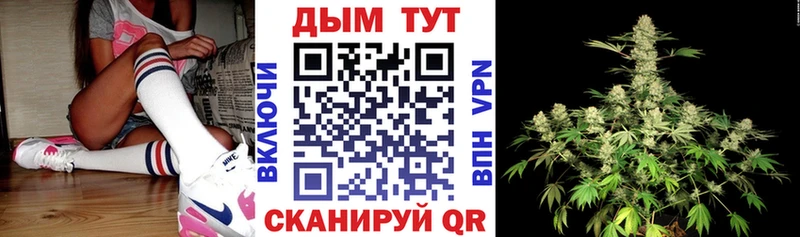 Марихуана гибрид Салехард